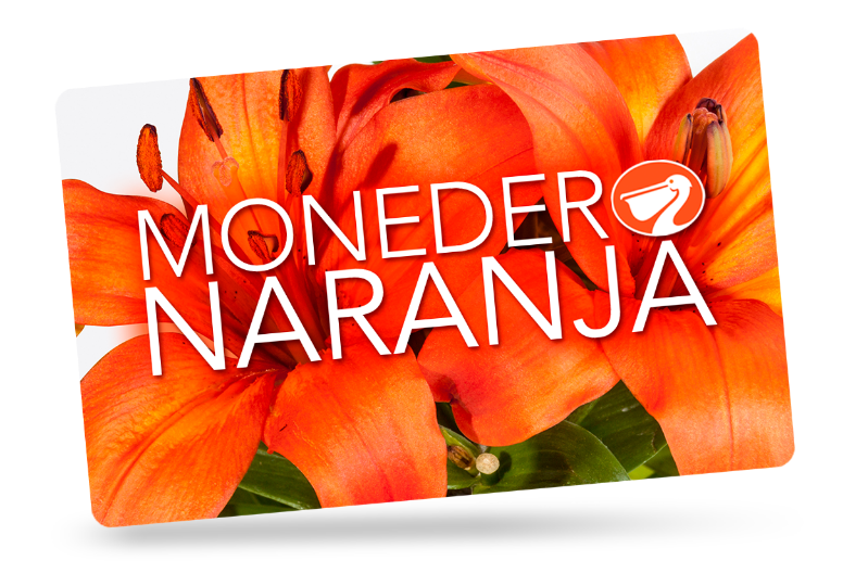 Monedero naranja