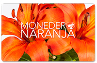 Banner monedero naranja