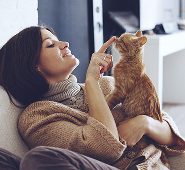 Mi gato arañe los muebles deals
